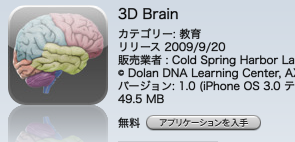 ３D brain